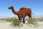 PICTURES/Borrega Springs Sculptures - Horses, Sheep & Camel/t_P1000377.JPG